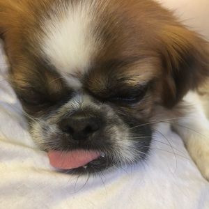 Meet your Posher, Sharon